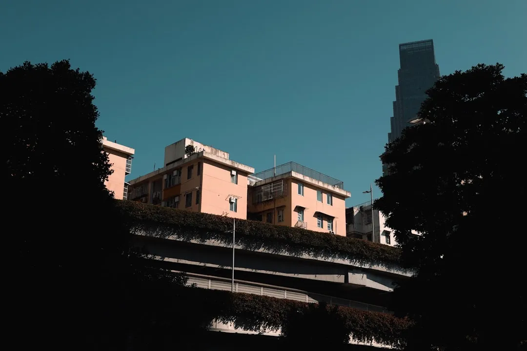 文件服务器与打印服务器一体化部署方案在政府项目中的应用实践