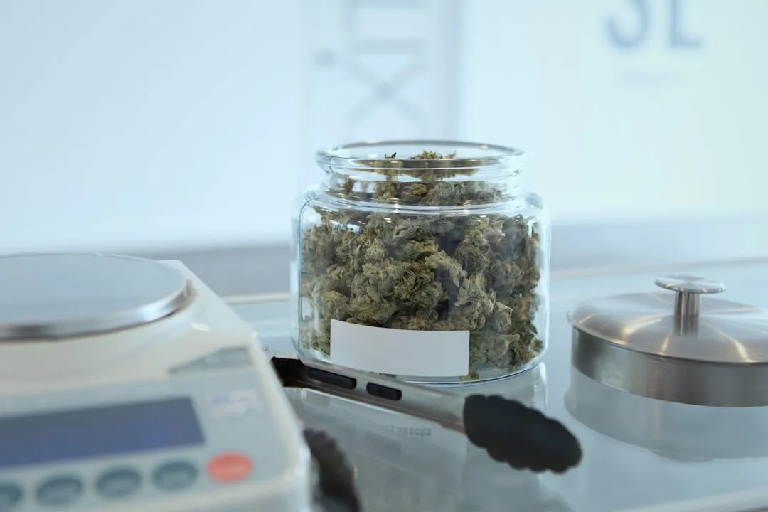 文件服务器与打印服务器在政府IT架构中的协同应用